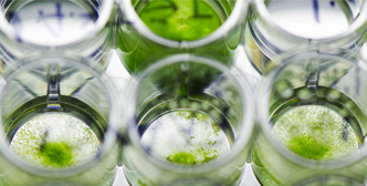 の適用 バイオリアクター発酵槽 in 藻類バイオテクノロジー